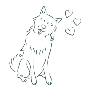 Donación Pago Único